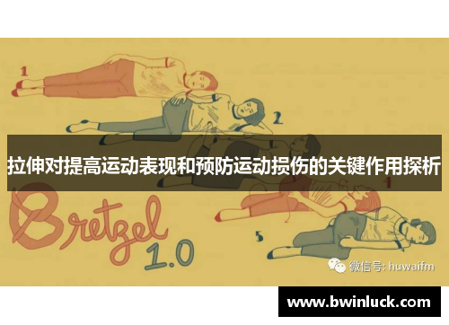 拉伸对提高运动表现和预防运动损伤的关键作用探析